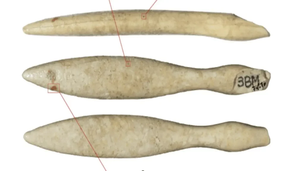 El artefacto de Bòbila Madurell fabricado con marfil / León et al. / Interesting Engineering