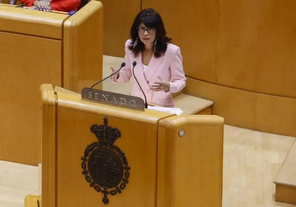 Ana Redondo, ministra de Igualdad, este miércoles en el Senado. / EFE / La Verdad