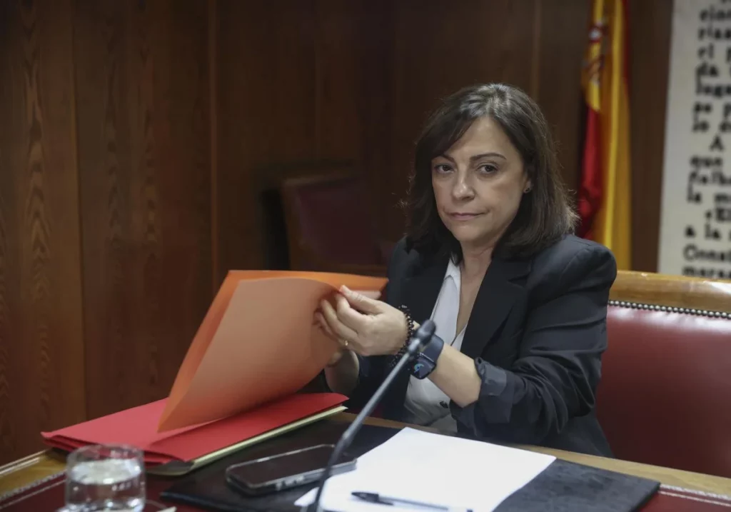 Ana María Fuentes, integrante de la Secretaría de Organización del PSOE, comparece en la comisión del Senado. EFE