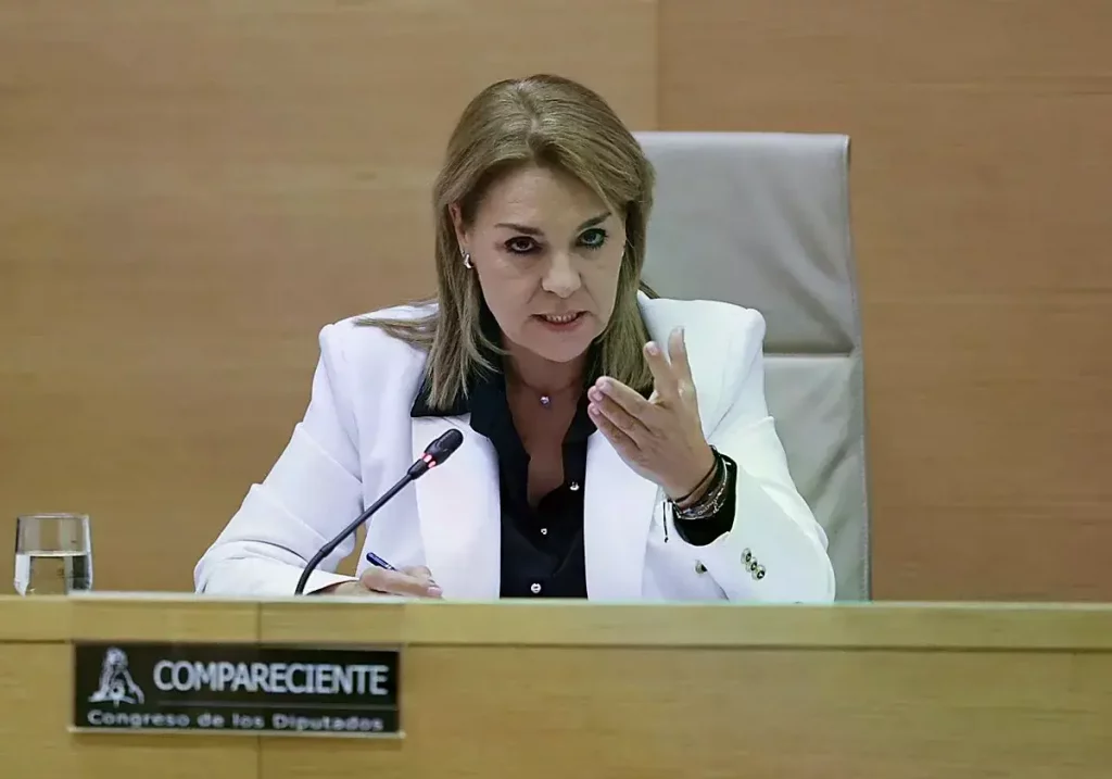 Susana Camarero, en el Congreso
