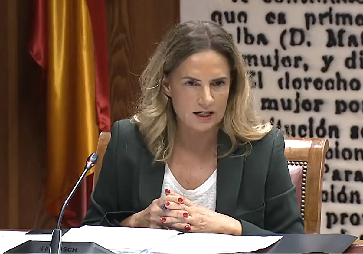 Susana Sumelzo este lunes en el Senado R.C. / LA VERDAD