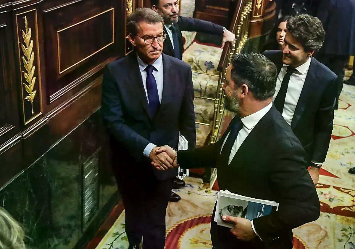 Alberto Núñez Feijóo y Santiago Abascal se saludan en el Congreso.