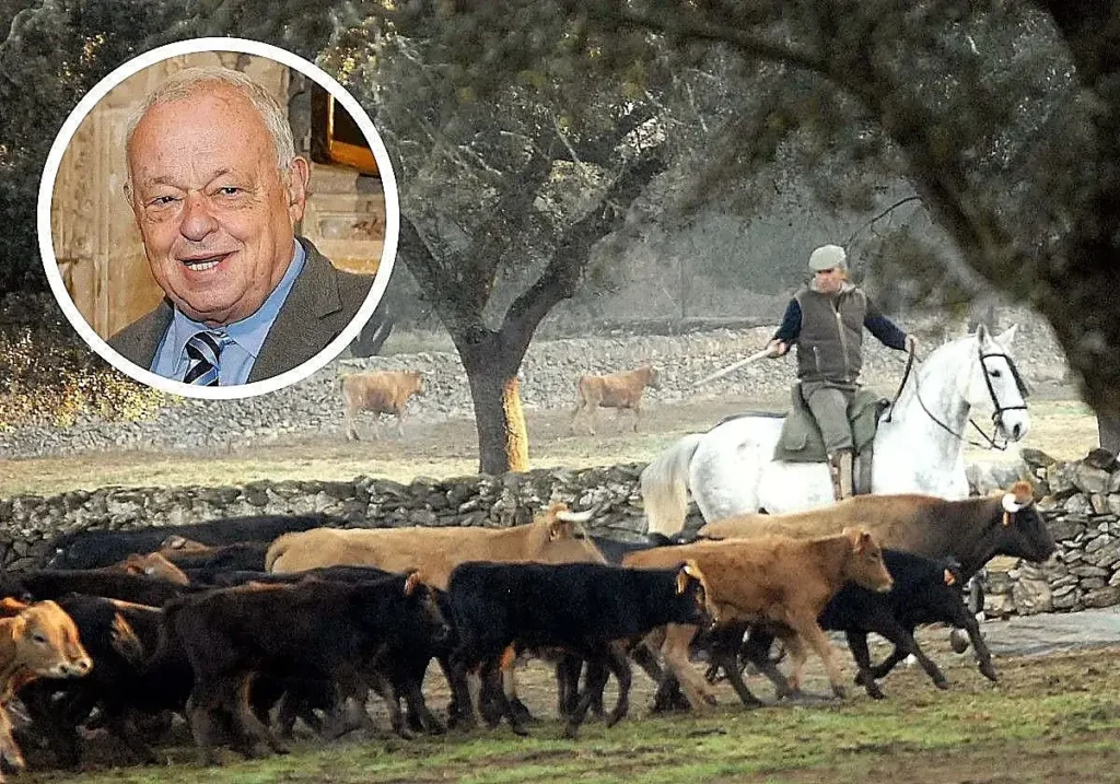 Vaquero a caballo entre ganado bravo. En detalle, el consejero de Cultura y Turismo, Gonzalo Santonja.