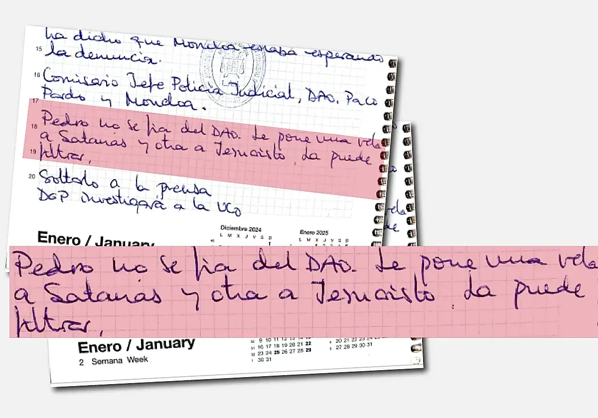 Imagen de la agenda de Leire incorporada a las actuaciones. (R.C.)