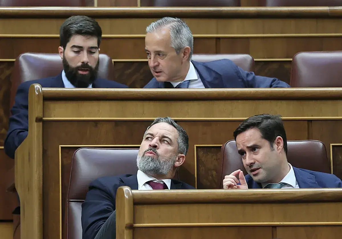 Santiago Abascal. (EFE)