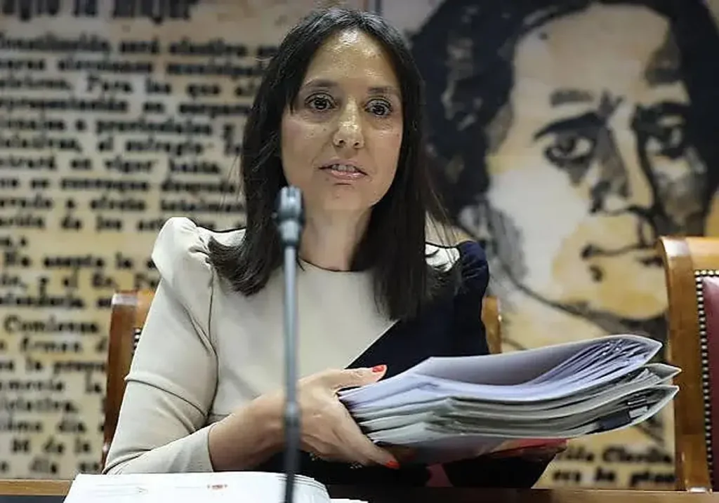 Mercedes González, directora de la Guardia Civil, en el Senado. (EP)