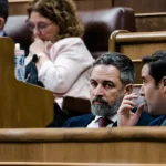 Santiago Abascal durante un Pleno en el Congreso.